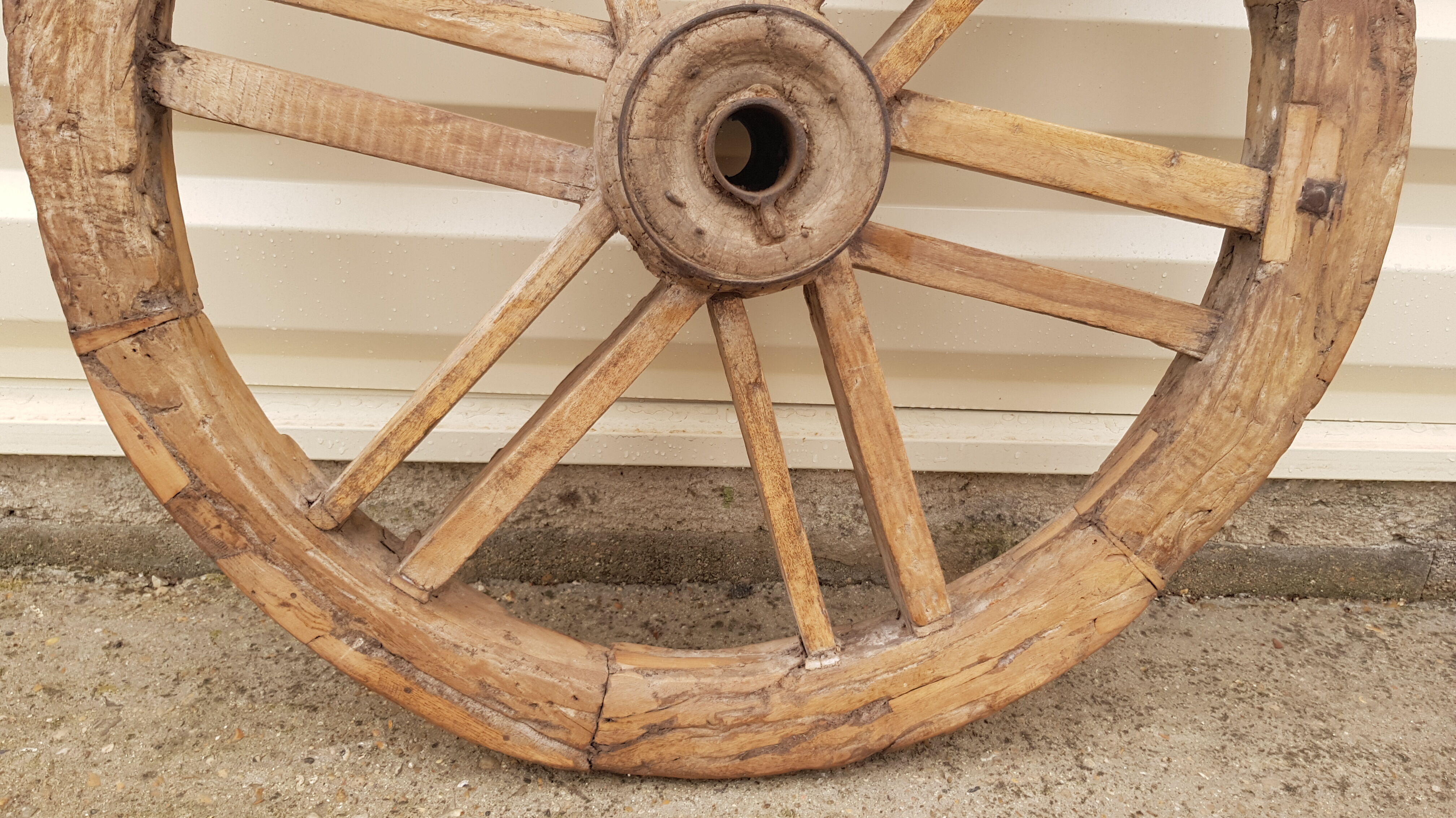Old teak plow wheel