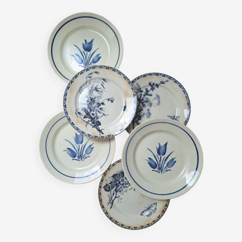 Vintage blue dinner plates