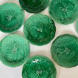 8 plates in leaf slurry