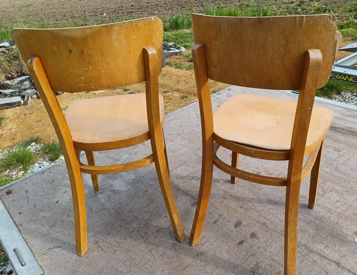 Thonet chairs 1950/1960