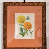 Watercolour Tableau Iconography Flowers Naturalism Rose Tagetes erecta nature