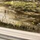 Peinture représentant un lac au milieu de la forêt