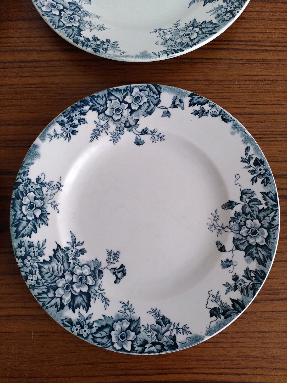 Set of flat and hollow plates in Terre de Fer Saint Amand & Hamage