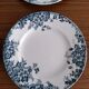 Set of flat and hollow plates in Terre de Fer Saint Amand & Hamage