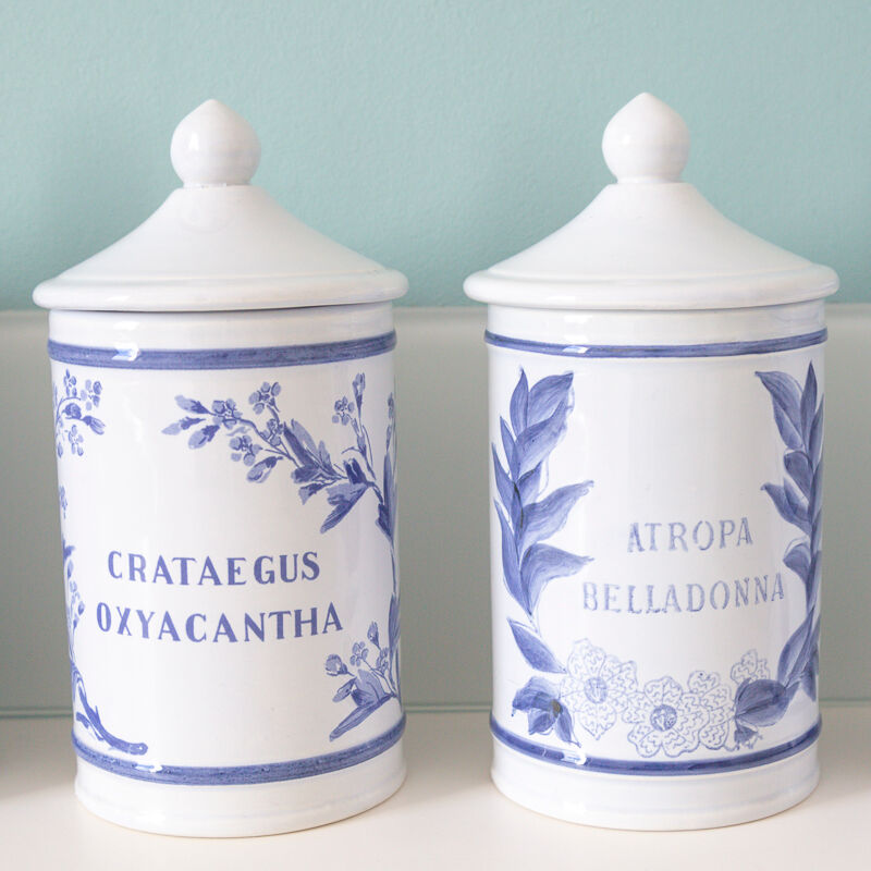 5 pots ceramic pharmacy ceramic earthenware of Longchamp