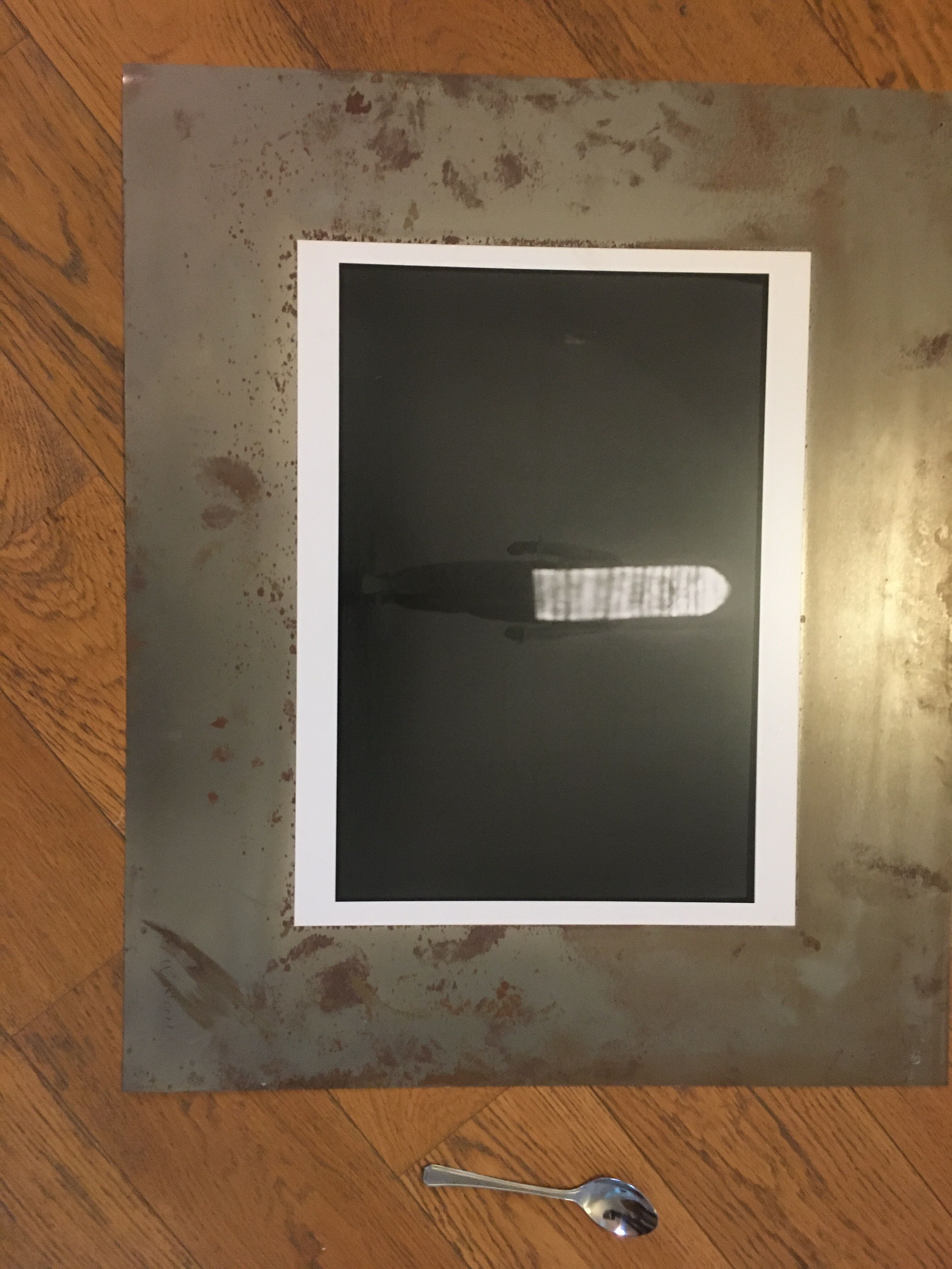 Unique photograph on metal plate