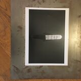 Unique photograph on metal plate
