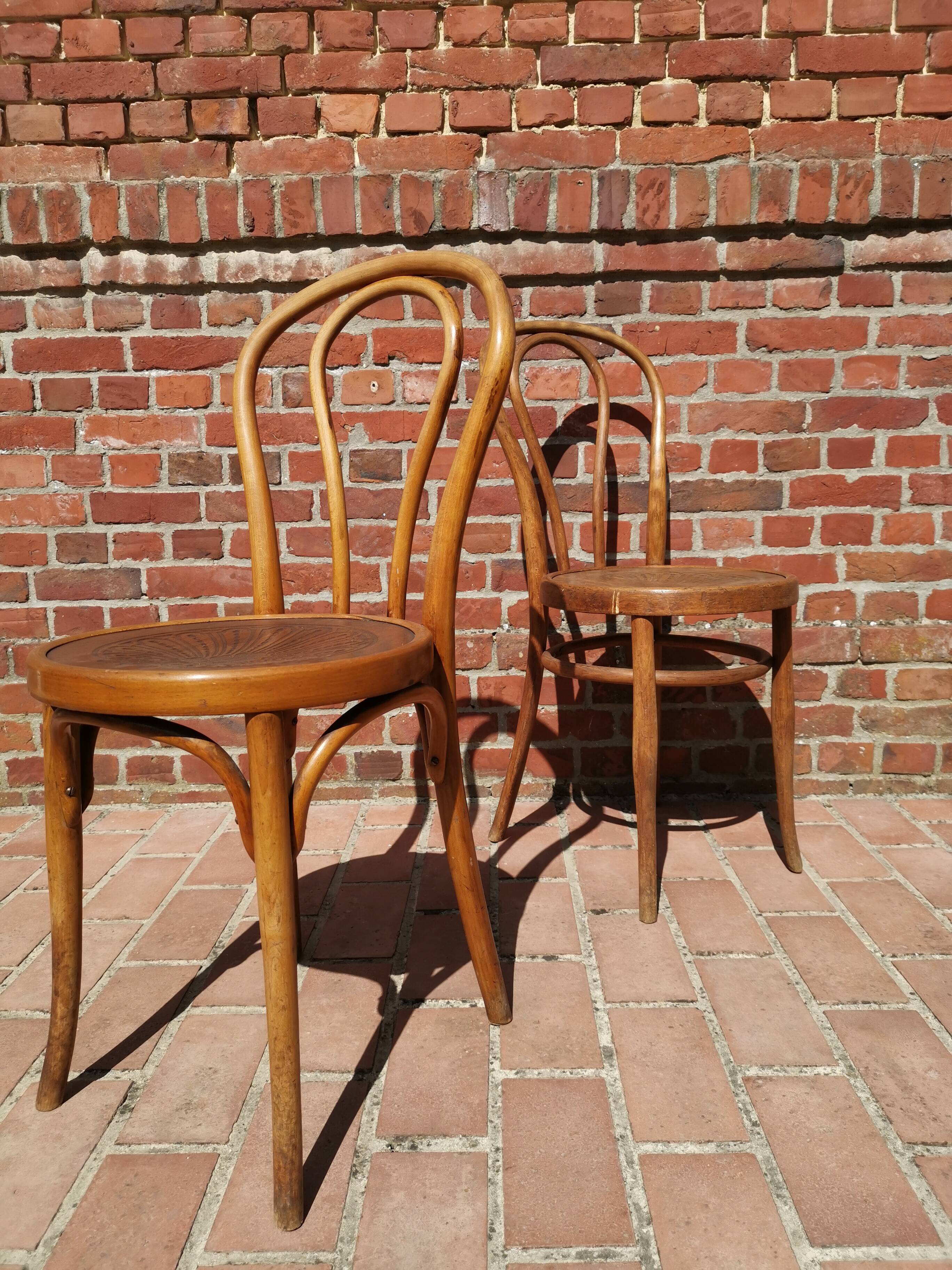 Lot of 6 chairs Jacob - Josef Kohn, Thonet, Mahieu