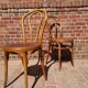 Lot of 6 chairs Jacob - Josef Kohn, Thonet, Mahieu
