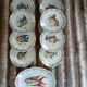 12 antique "Royal" dinner plates + 1 dish