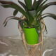 Rattan doll chair