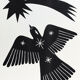 The Cosmic Bird