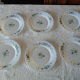 6 dessert plates