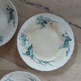 10 antique ironstone dinner plates