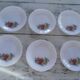 6 plates flat decorated fruit des bois arcopal france