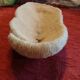 White coral fungia