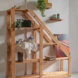 "Augustin" bookshelf