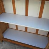 Ancient parisian oak library