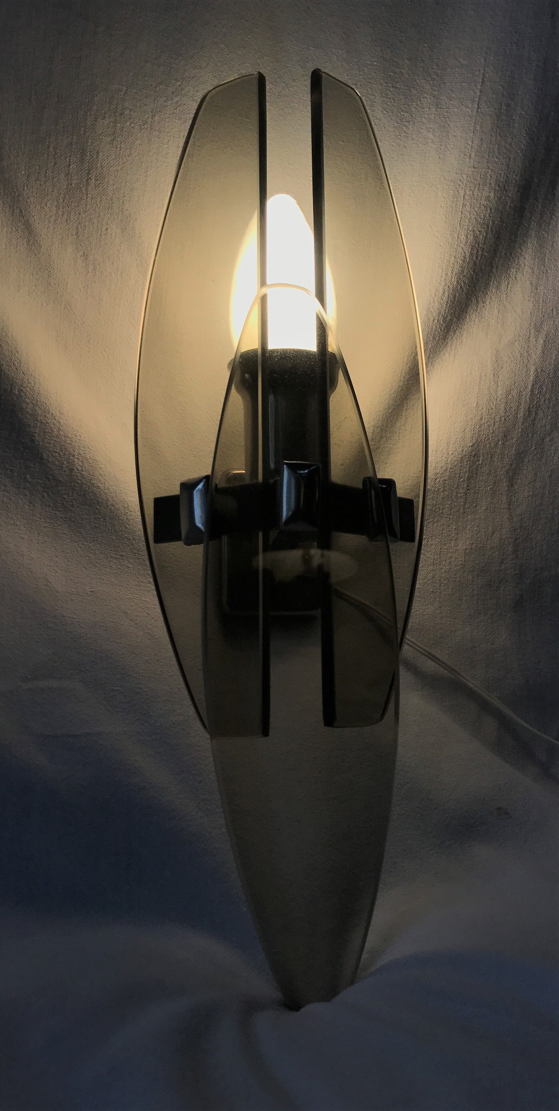 Marrron and steel smoked glass wall sconce