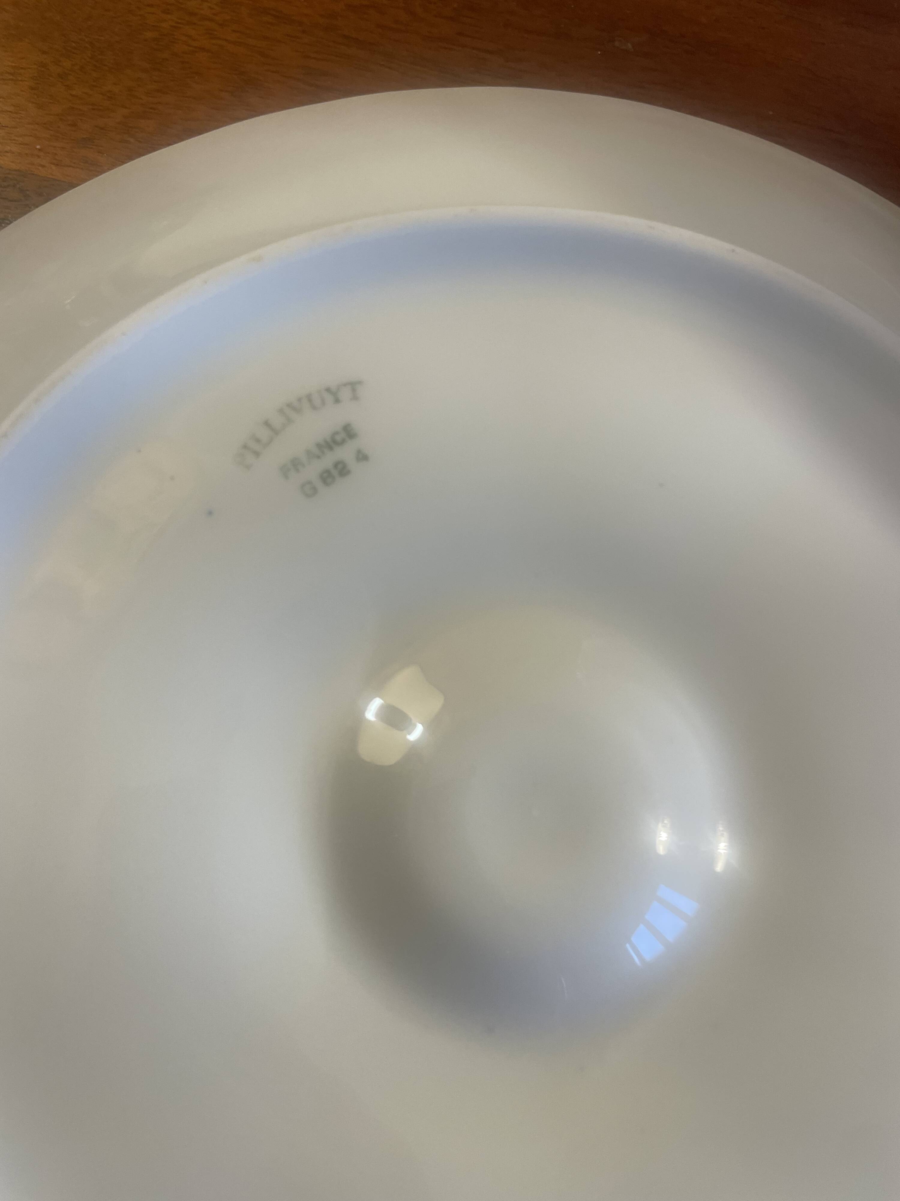 6 Pillivuyt oyster plates