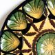 Ceramic oyster dish saint jean de bretagne