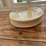 Old faience plates with flowers