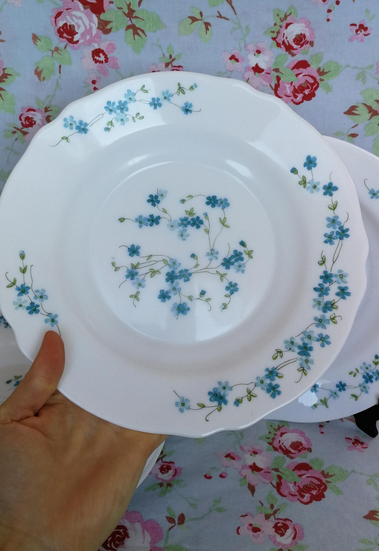 6 arcopal hollow plates veronica myosotis blue flowers 70s