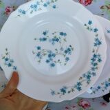 Lot de 6 assiettes creuses Arcopal Veronica Myosotis années 70