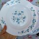 6 arcopal hollow plates veronica myosotis blue flowers 70s