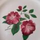 Set of 6 ceramic plates from Sarreguemines