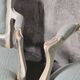 Pair of Louis XV style armchairs in patinated wood, light blue fabric.