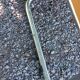 Chaise Marcel Breuer cesca B32