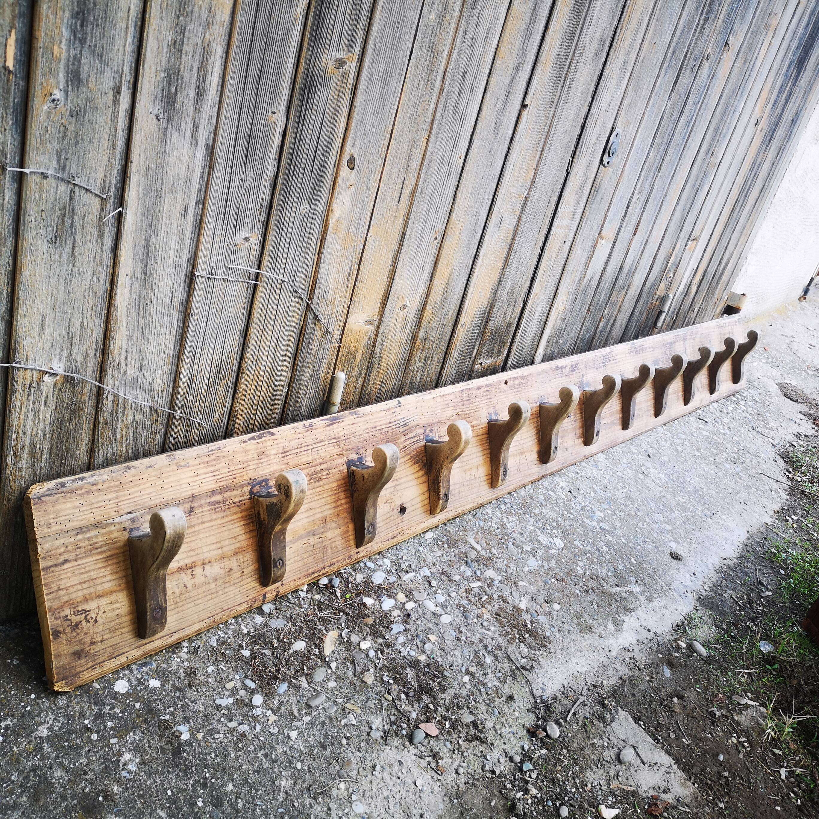 Ancient patère in fir