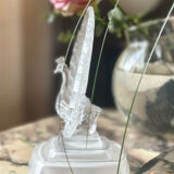 Crystal peacock book greenhouse