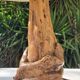 Vintage wood brutalist lamp 50s