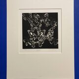 Mario avati (1921-2009), butterflies, black manner, 1970