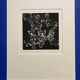 Mario avati (1921-2009), papillons, manière noire, 1970