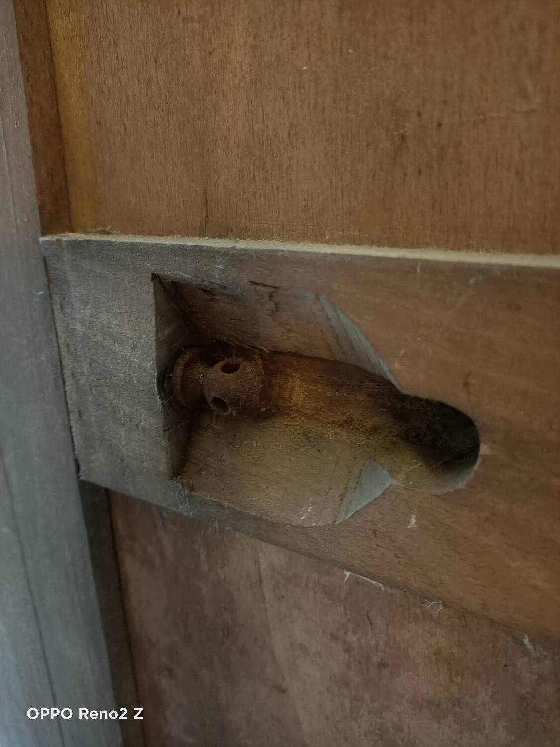 XXL Parisian wardrobe