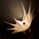 Shell lamp by Roger Rougier - 1970