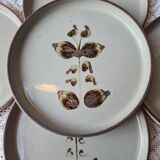 6 flat plates sandstone of the Arnon