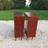Scandinavian style display case