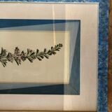 Old botanical board romarin