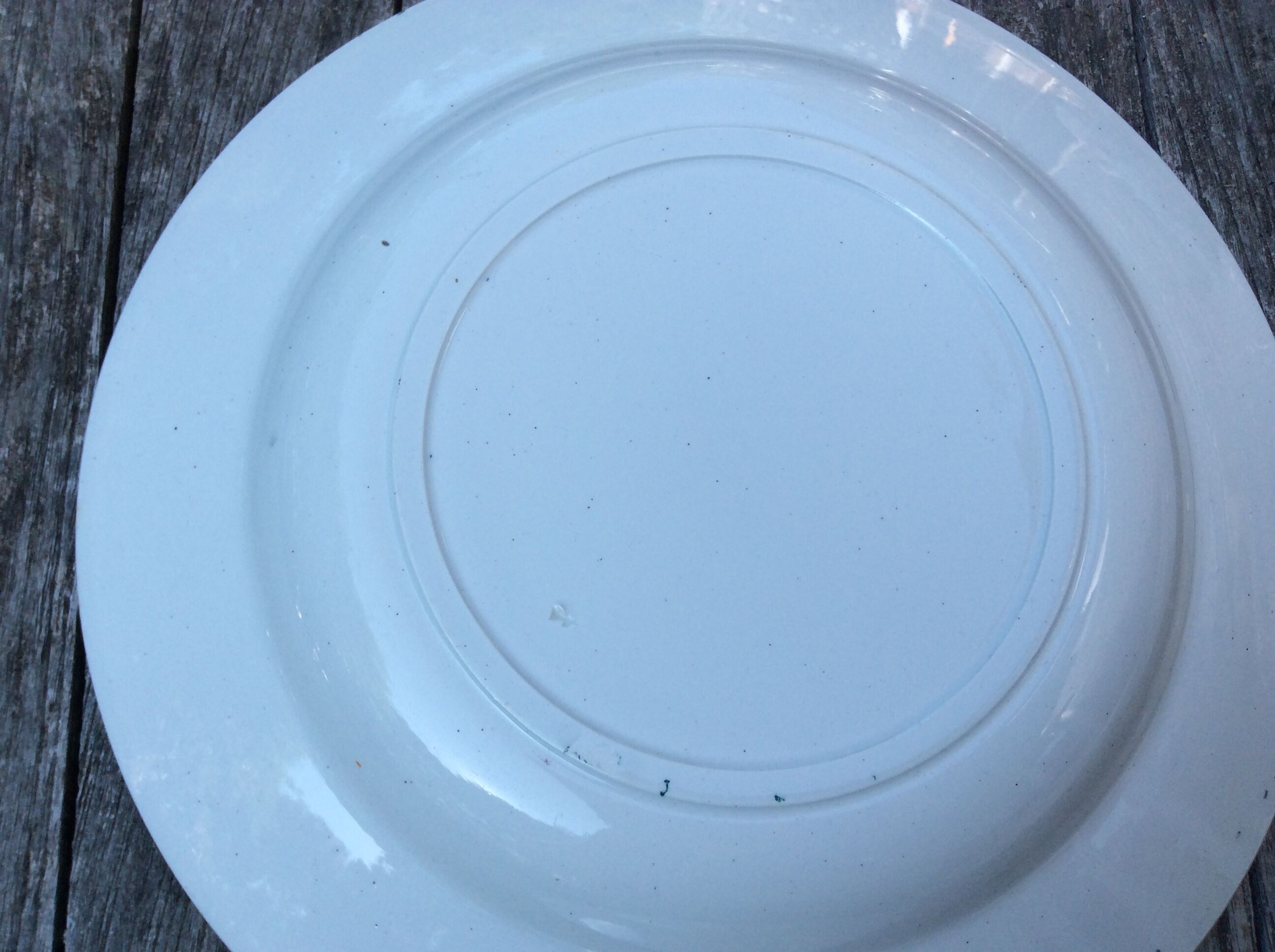 Series 6 tablespoons Plate Iron Earth