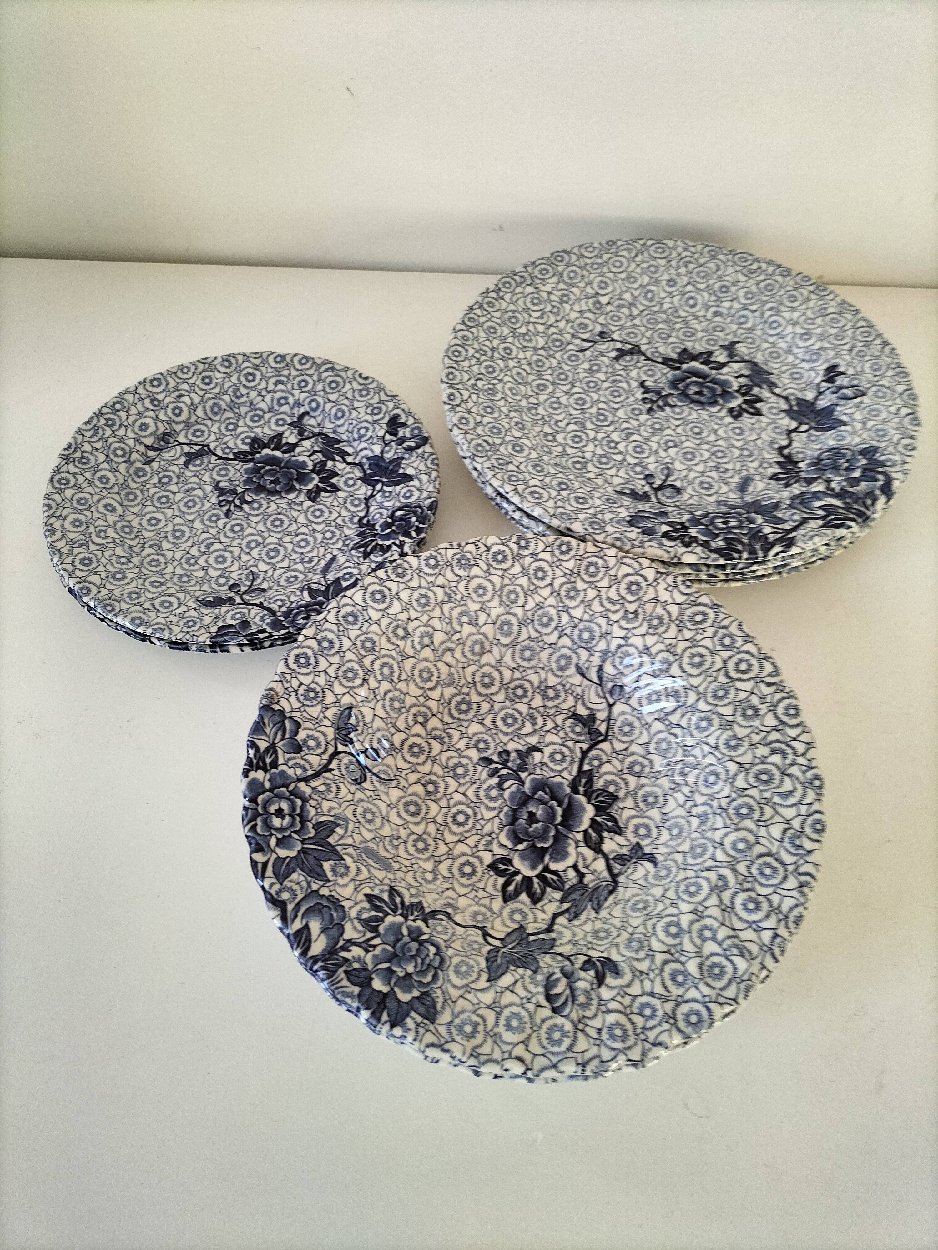 9 Johnson Brothers plates in the Lotus pattern.