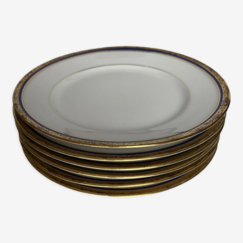 6 porcelain dessert plates