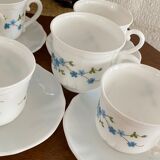 9 coffee cups arcopal model forget-me-not.