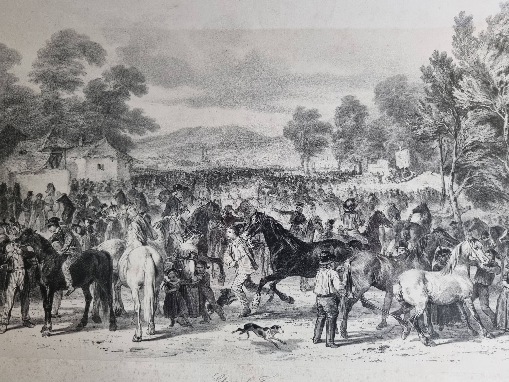 Original framed engraving of the nineteenth after Hippolyte Lalaisse, Cluny Stallion Fair