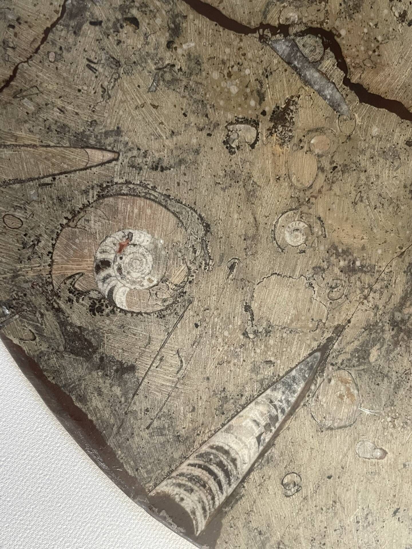 Round plate, fossil marble catch-all 35cm