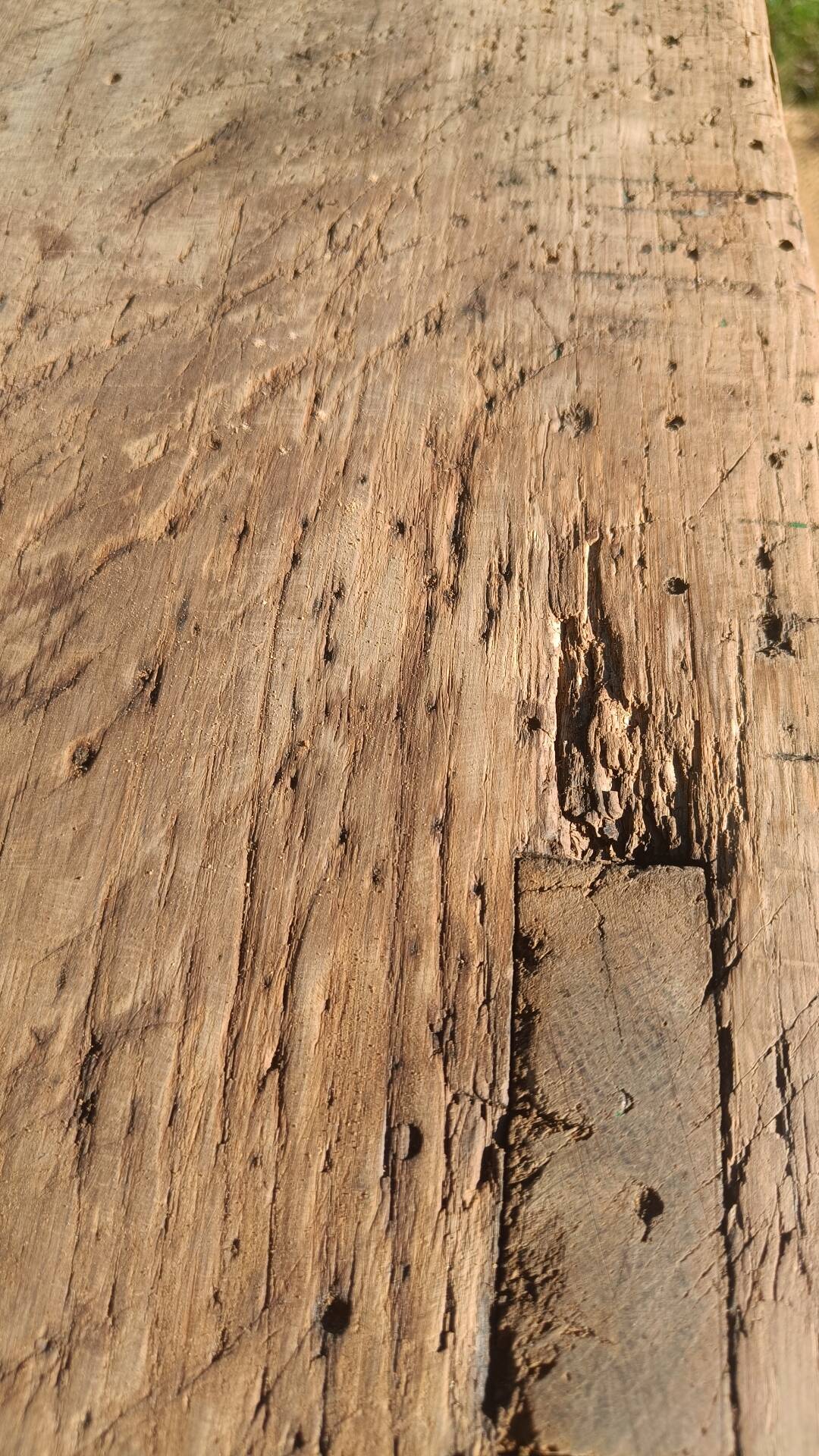 Établi ancien de menuisier en chêne massif avec presse