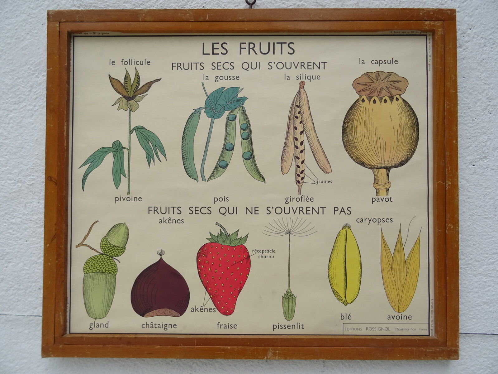 Set of 10 Rossignol posters on plants with frame